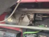 Picture of (Used) 2010 Kenworth T300, WIPER MOTOR