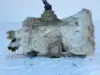 Picture of (Used) 1990 ZF (MT), TRANSMISSION ASSEMBLY