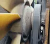 Picture of (Used) 2007 Sterling L9500, FAN CLUTCH