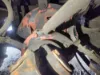 Picture of (Used) 2002 Spartan Gladiator, DIFFERENTIAL GEARS ONLY