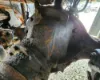 Picture of (Used) 2007 Sterling L9500, COMPLETE REAR REAR TANDEM