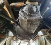 Picture of (Used) 2007 Sterling L9500, COMPLETE FRONT REAR TANDEM