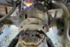 Picture of (Used) 2014 International WorkStar 7500, DIFFERENTIAL GEARS ONLY