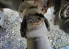 Picture of (Used) 2014 International WorkStar 7500, COMPLETE REAR DIFFERENTIAL