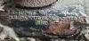 Picture of (Used) 2014 International WorkStar 7500, STEERING BOX
