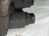 Picture of (Used) 2005 Allison (AT), TRANSMISSION ASSEMBLY