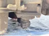 Picture of (Used) 2006 Allison (AT), TRANSMISSION ASSEMBLY