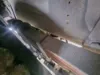 Picture of (Used) 2002 Spartan Gladiator, REAR LEAF SPRINGS