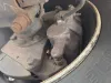Picture of (Used) 2022 Chevrolet 5500HD, BRAKE CALIPER REAR DIFFERENTIAL