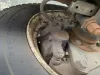 Picture of (Used) 2022 Chevrolet 5500HD, BRAKE CALIPER REAR DIFFERENTIAL