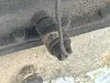 Picture of (Used) 1991 Allison (AT), TRANSMISSION ASSEMBLY