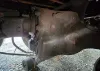 Picture of (Used) 2000 Sterling L9500, FRONT DIFFERENTIAL GEARS ONLY