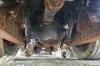 Picture of (Used) 2000 Sterling L9500, FRONT DIFFERENTIAL HOUSING ONLY