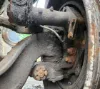 Picture of (Used) 2000 Sterling L9500, FRONT SPINDLE/KNUCKLE