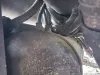 Picture of (Used) 2020 Peterbilt 389, AIR TANK