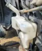 Picture of (Used) 2025 International LT, WASHER BOTTLE