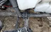 Picture of (Used) 2025 International LT, FRONT LEAF SPRINGS