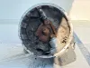 Picture of (Used) 2012 Eaton/Fuller (AT), TRANSMISSION ASSEMBLY,