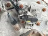 Picture of (USED) AT DETROIT DT12-OA Transmission assembly.