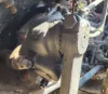 Picture of (Used) 2019 Freightliner Cascadia 126, STEERING BOX