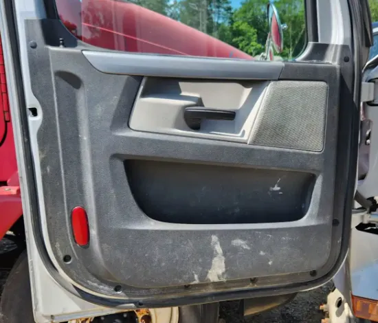Picture of (Used) 2019 Freightliner Cascadia 126, INTERIOR DOOR PANEL