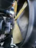 Picture of (Used) 2020 Freightliner Cascadia 126, FAN