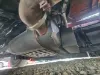 Picture of (Used) 2020 Freightliner Cascadia 126, DIESEL PARTICULATE FILTER