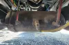 Picture of (Used) 2023 Freightliner M2 106, AIR TANK (4)