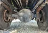 Picture of (Used) 2023 Freightliner M2 106, COMPLETE REAR DIFFERENTIAL
