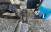 Picture of (Used) 2023 Freightliner M2 106, FRONT LEAF SPRINGS