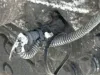 Picture of OTHER Other Other Transmission Assy