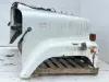 Picture of 1988 International F-2574 Hood