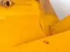 Picture of 1990 International 4600 Fender Extension