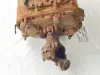 Picture of 2014 Freightliner Cascadia 125 Transmission Assy