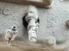 Picture of 2018 International LT625 Transmission Assy