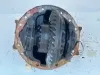 Picture of Differential Core