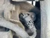 Picture of 2006 Freightliner MT55 Chassis Transmission Assy