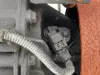 Picture of 2009 Freightliner MT55 Chassis Transmission Assy