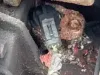 Picture of 2002 International 1652 Transmission Assy