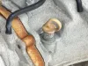 Picture of 2006 Subaru forester Transmission Assy