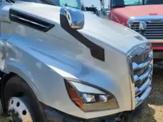 Picture of 2019 Freightliner Cascadia 126 Hood