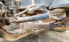 Picture of (Used) 2005 Sterling L9500, FRONT LEAF SPRINGS