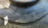 Picture of (Used) 2022 Peterbilt 348, FUEL TANK