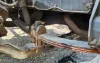 Picture of (Used) 2022 Peterbilt 348, FRONT LEAF SPRINGS