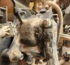 Picture of (Used) 2005 Sterling L9500, STEERING BOX