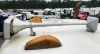 Picture of (Used) 2005 Sterling L9500, AIR HORN
