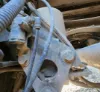 Picture of (Used) 2016 Mack CHU613, AIR DRYER