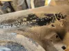 Picture of (Used) 2019 International HV507, STEERING BOX