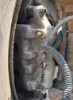 Picture of (Used) 2005 Sterling ACTERRA, BRAKE CALIPER REAR DIFFERENTIAL