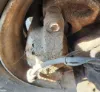 Picture of (Used) 2005 Sterling ACTERRA, BRAKE CALIPER FRONT AXLE BEAM